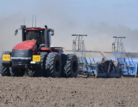 DSC_1731editedscaled