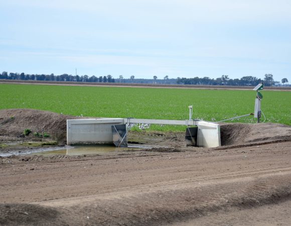 DSC_2104 edited v2scaled