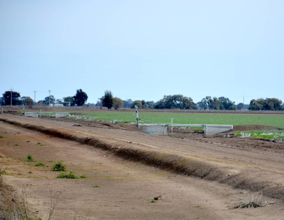 DSC_2106edited v2scaled