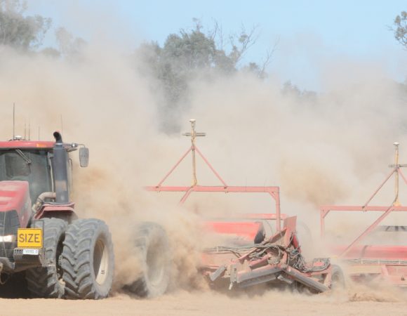 DSC_5676 editedscaled