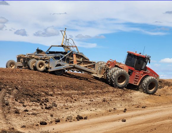 20231126_145340 editedscaled