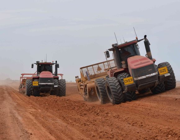 DSC_2433 edited v1str crop scaled